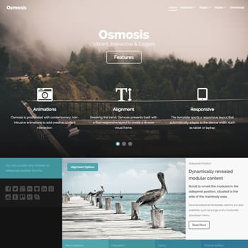 Dom Nowoczesny pod Radomiem